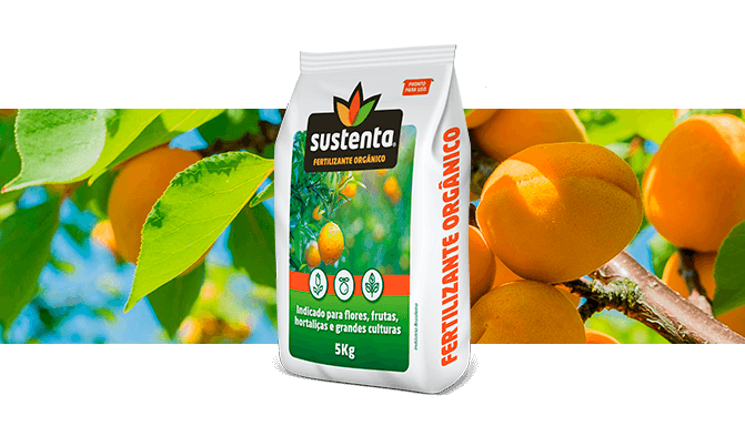 Fertilizante orgânico em Campinas: os melhores estão aqui | Ecomark